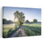 «Spring Path Peaceful Serene Tranquil Landscape Spring», impression murale-1587895914
