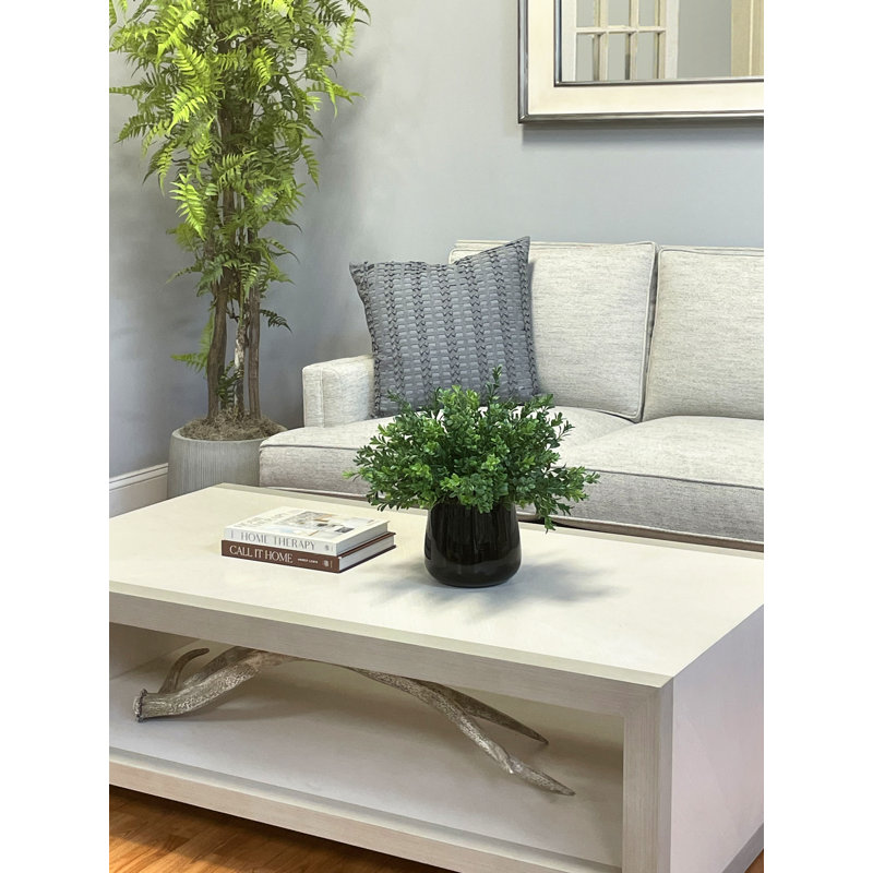 Faux Boxwood Plant in Glass Vase