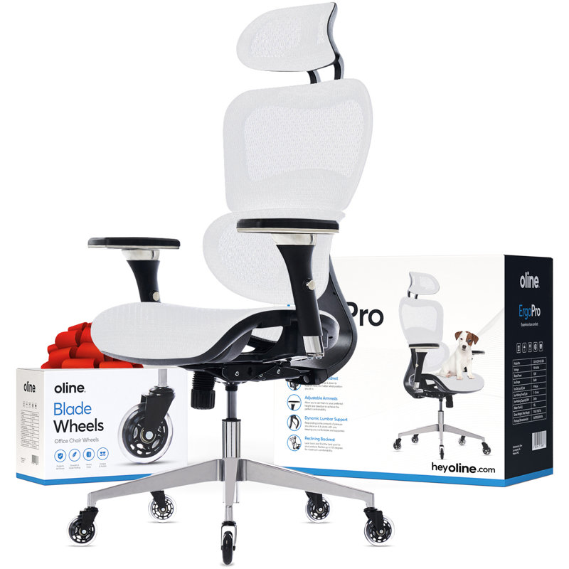 ErgoPro Ergonomic Office Chair, Rolling Desk Mesh Computer Gaming Executive Chair with Blade Wheels, White