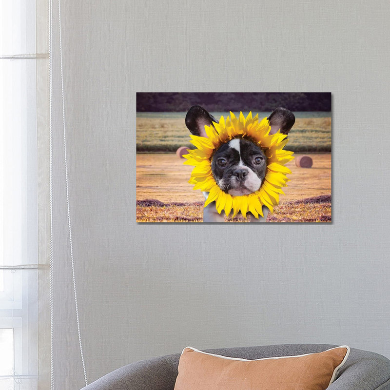 Sunflower Baby Frenchie by Karen Burke - Wrapped Canvas Gallery-Wrapped Canvas Giclée, 45.72cm H x 66.04cm W
