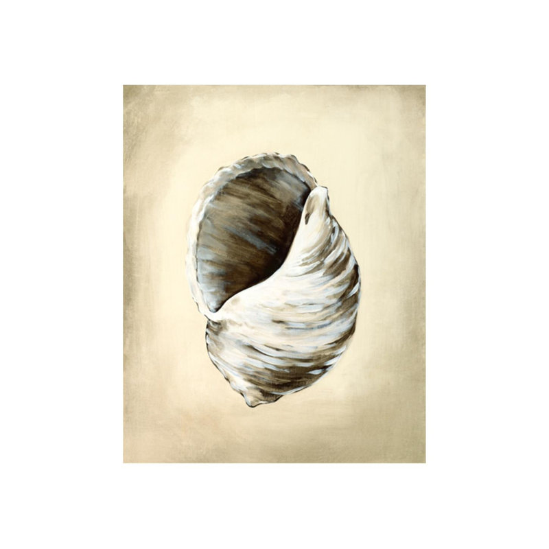 Seashells III Print by Sydney Edmunds, Outdoor, 59" H x 47" W x 1.5" D