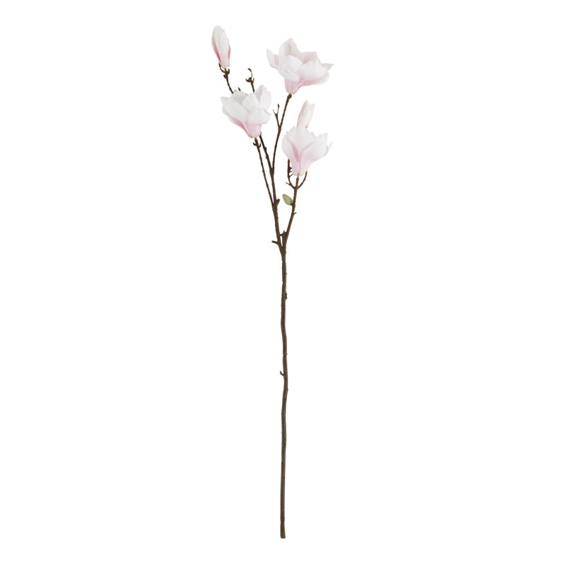 Ensemble de 12 fleurs Magnolia