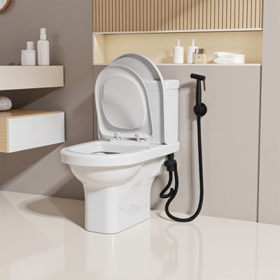 Wall Mounted Handheld Bidet Toilet Faucet Sprayer
