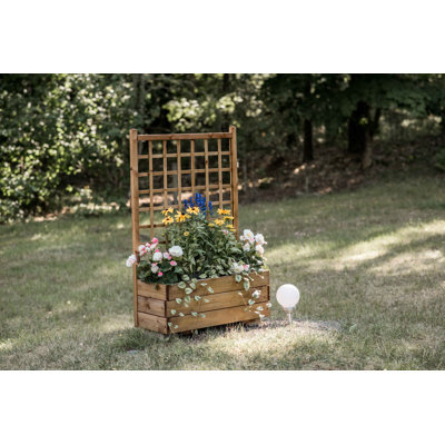 Abbott Wood Planter Box with Trellis