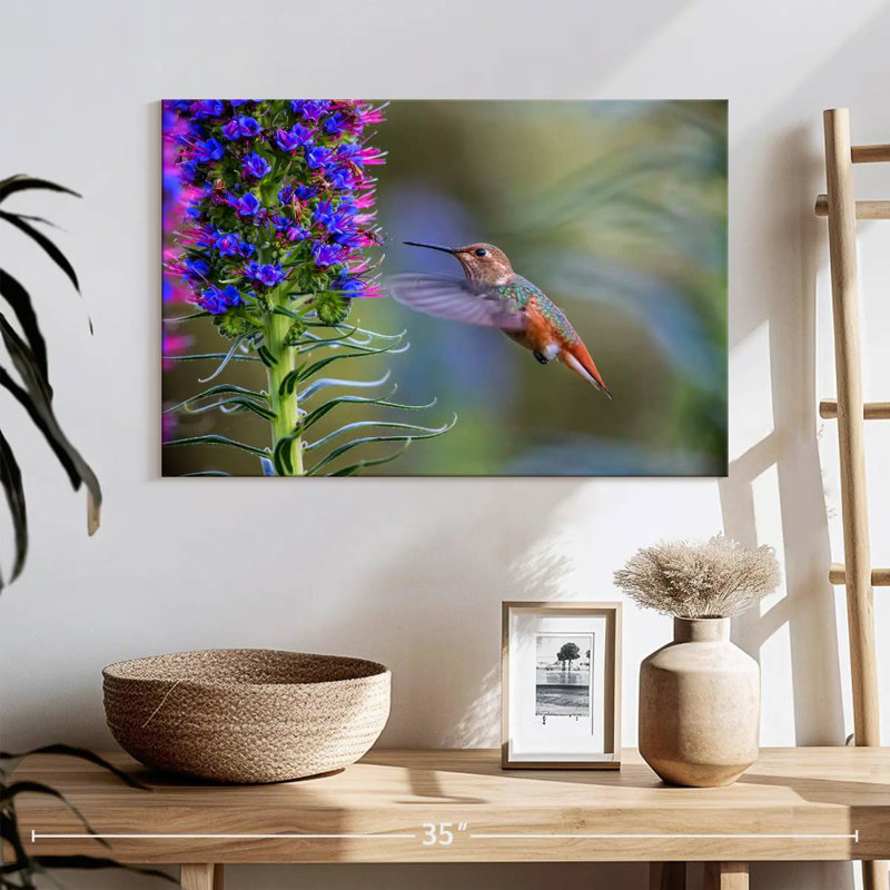 Brampt Hummingbird Feasting, 16" H x 24" W