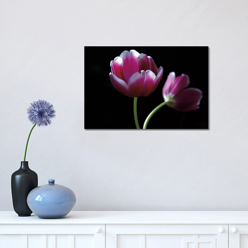 Passion 1 Piece Wrapped Canvas Wall Art, 30.48 cm H x 45.72 cm W