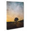 Lone Tree At Dusk Abstract - Wrapped Canvas-56665672