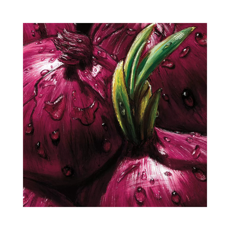 Onions by AlmaCh - Wrapped Canvas Painting, 45.72 cm H x 45.72 cm W x 3.175 cm D