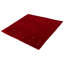 Tapis rouge Kashkuli Gabbeh 7 pi 0 po x 6 pi 4 po