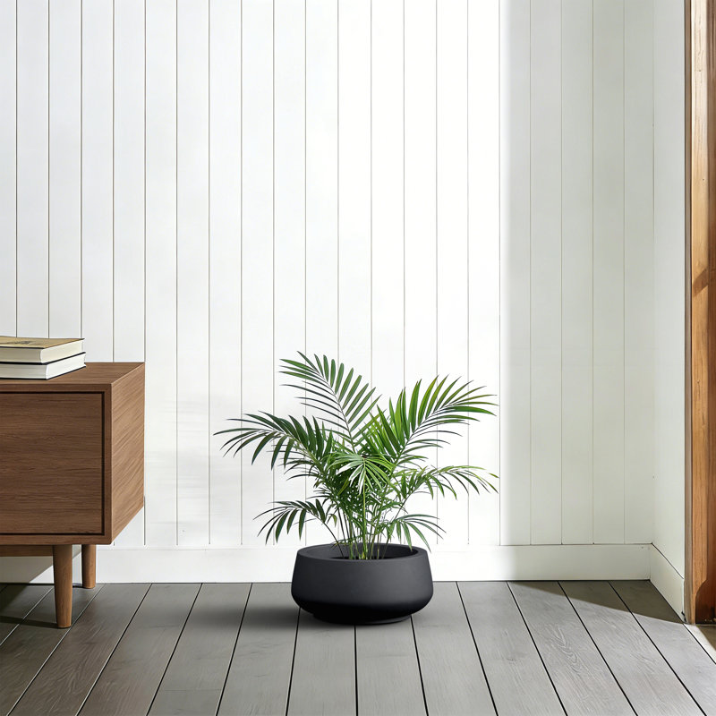 16 po. Grand pot / pot rond rond en béton noir mat (intérieur amélioré) avec trous de drainage, Noir mat