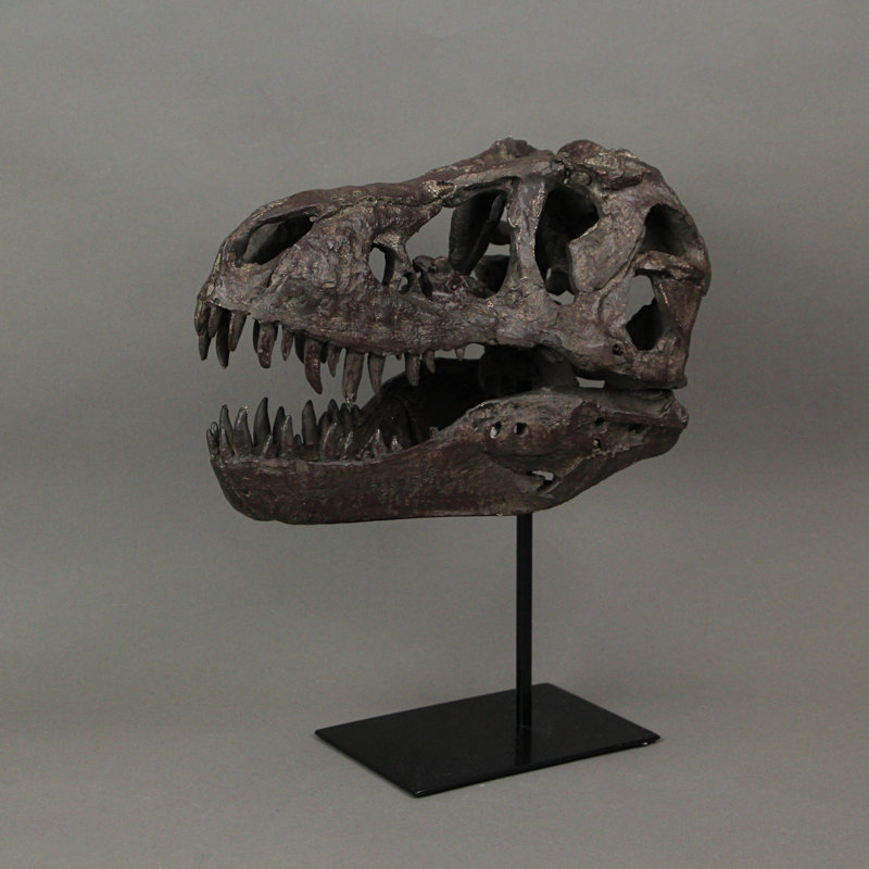 Statue tête de mort en résine coulée Deenya T-Rex Tyrannosaurus Rex avec finition vieillie foncée peinte à la main sur support de musée en métal noir - L 10 po x l 6 po x H 12 po