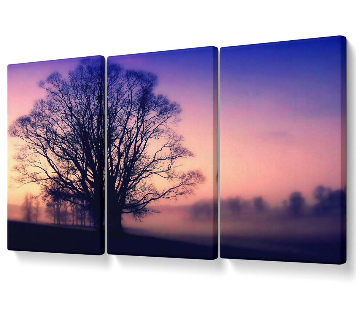 Ebern Designs Scots Mist - 3 Piece Wrapped Canvas Graphic Art | Wayfair ...