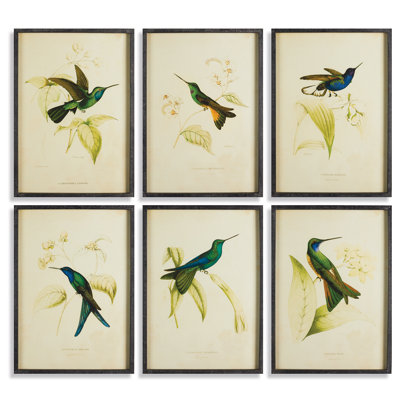 Saltillo Hummingbird Prints, Set of 6