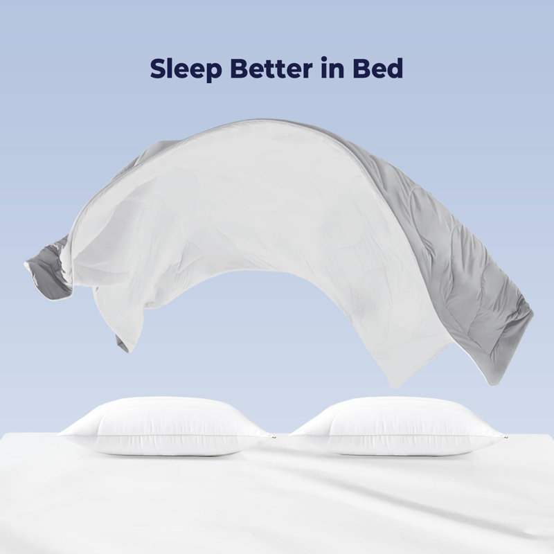 Bedtter® Luxe Cooling Comforter Queen Size 90"x90" for Hot Sleeper, Gray, Twin Comforter