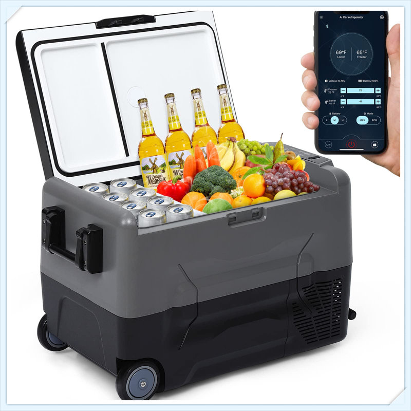 Dual Zone Car Freezer with APP Control, 48QT Portable Refrigerator for RV/Camping, -4°F to 68°F Cooling, Dual Voltage (12V/24V DC & 110-240V AC)
