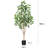 Adcock Artificial Ficus Tree in Pot with Realistic Leaves and Natural Trunk-311849291