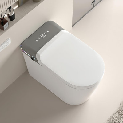 Toilette à bidet intelligente 18,5 po avec télécommande - Toilette surélevée sans réservoir avec affichage DEL et chasse automatique