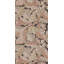 Acanthus Wallpaper-50889536
