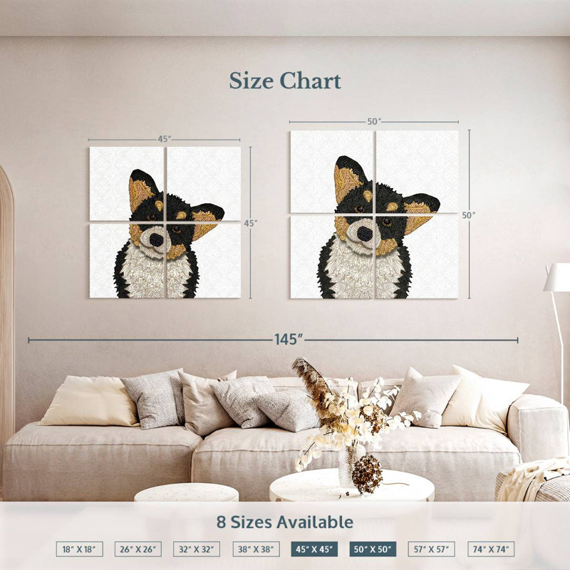 Mignon corgi Brampt