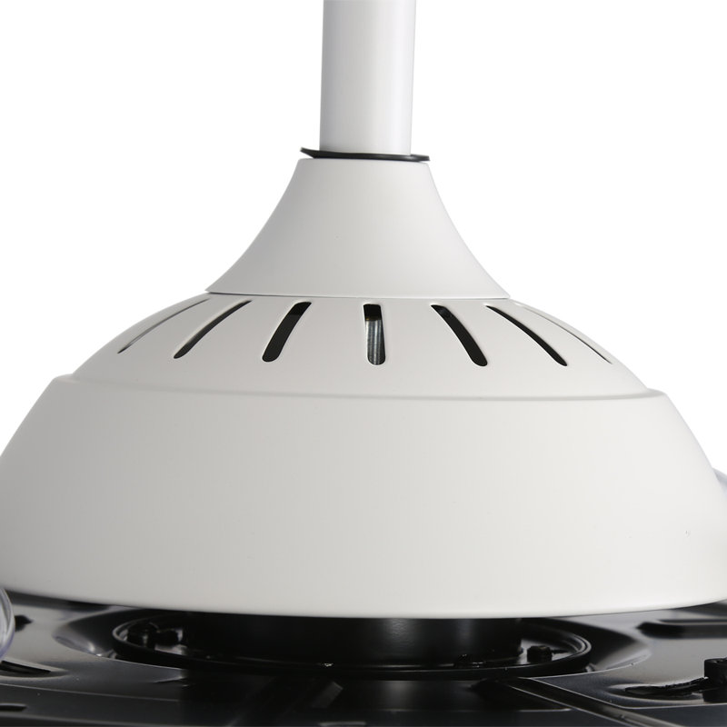 Ceiling Fan with LED Lights, White