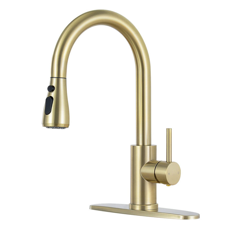 DORNBERG Pull Down Kitchen Faucet
