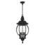 Lanterne suspendue d'extérieur 4 lumières H 24,5 po Aalena-54497903