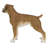 Boxer Dog Standing