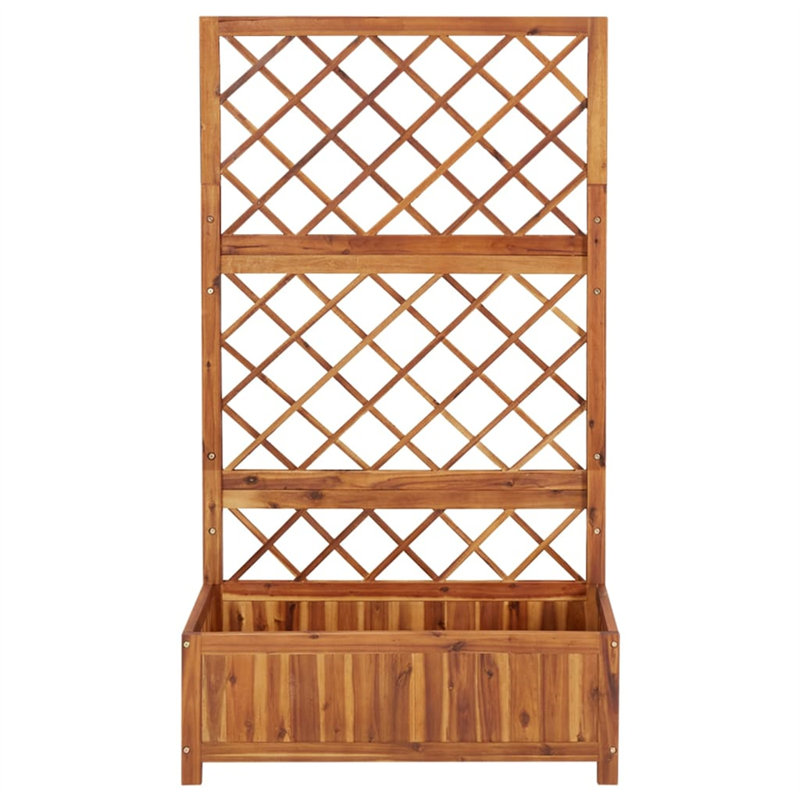 Shuler Wood Raised Garden Bed with Trellis