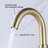 Widespread 2-handle Bathroom Faucet