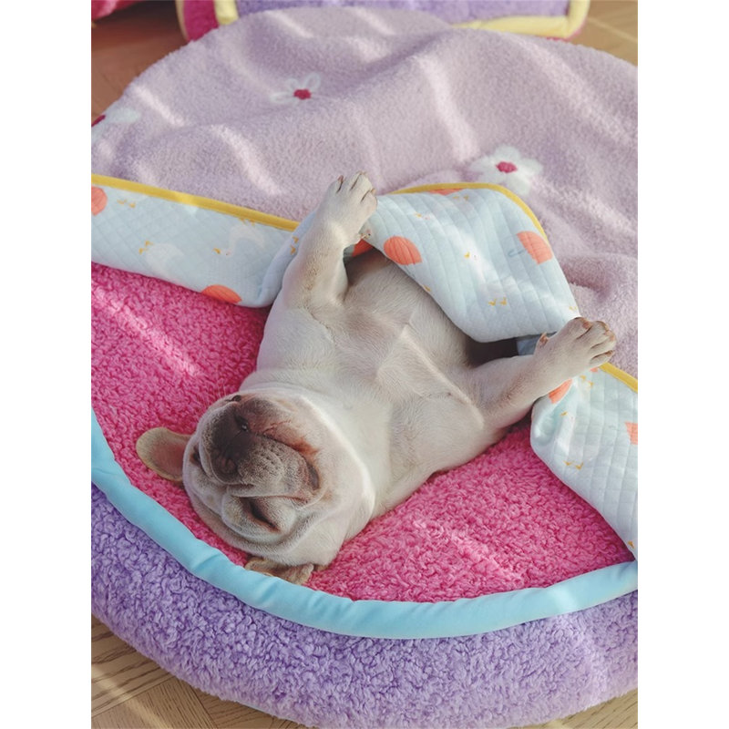 Couvertures pour chiens