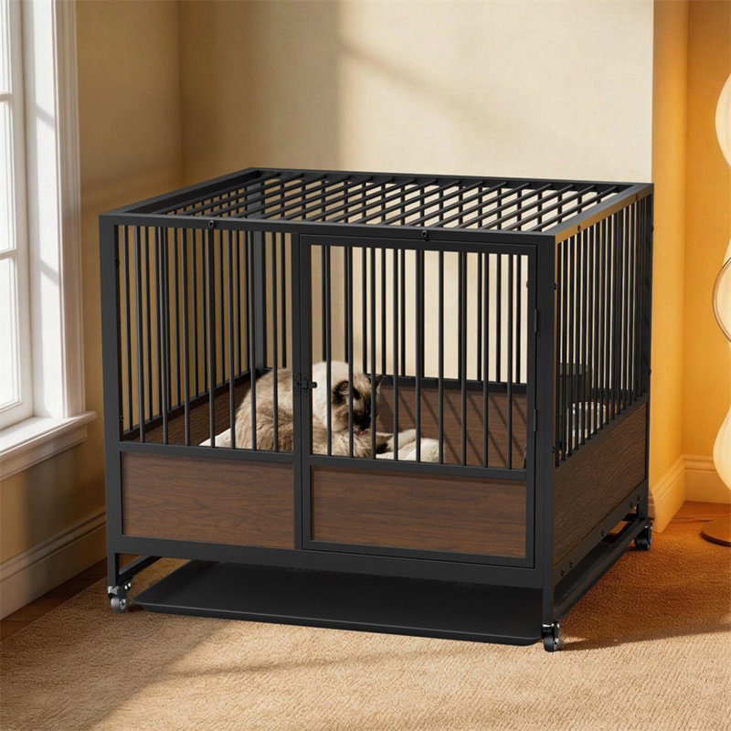 Biston Cat Cage, 1