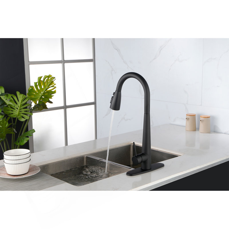 Single Handle Stainless Steel Kitchen Sink Faucet With Pull Down Sprayer, Matte Black