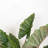 45" Faux Colocasia Esculenta Plant in Pot, Artificial Tree House Floor Plants for Home Office Decor Indoor Housewarming Gift