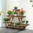 Solid Wood Weather Resistant Plant Stand Plant Stand