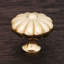 CK Series Knob-12829761-12829769