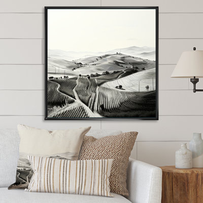 " Minimalism Vineyard Photography "