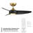 38'' Ceiling Fan with LED Lights-83109811