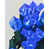 Blue selected