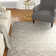 Carlie Viscose Oriental Indoor Rug