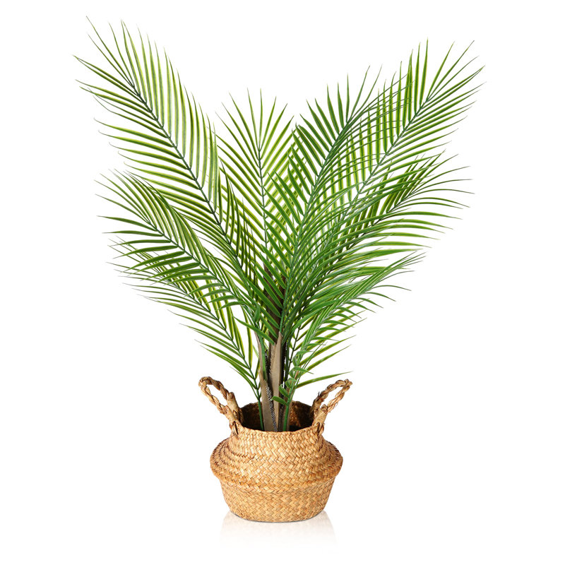 Annegreet Faux Plant, 80cm H x 12.7cm W x 12.7cm D