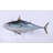 Mackerel Tuna Statue