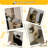 Damyanti Wall-mounted Cat Tree Tower Shelved 6 Pcs Climbing Center