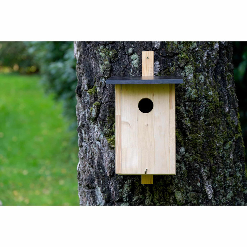 Large nesting box for starlings, woodpeckers and reversible necks.