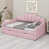 Rose est en rupture de stock