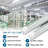 28 Watt (280 Watt Equivalent) T8 G13 Base LED Non- Dimmable Light Bulbs
