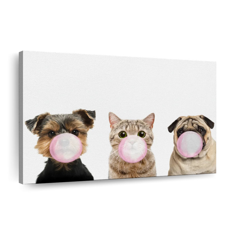 «Funny Animal», reproduction sur toile, H 8 po x l 12 po x P 1 po