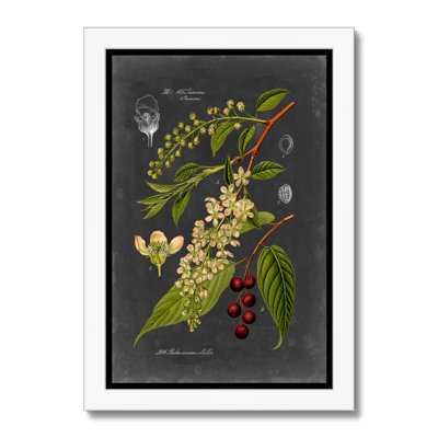 Midnight Botanical II by Vision Studio - Print