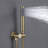 All-In-One Kit with Rough in-Valve-62492300
