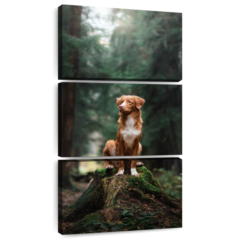 Golden retriever dans la forêt tropicale