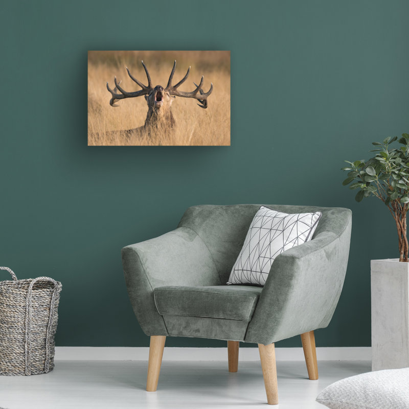Art sur toile «boline Kutub Uddin Ready to Rut», H 16 po x l 24 po